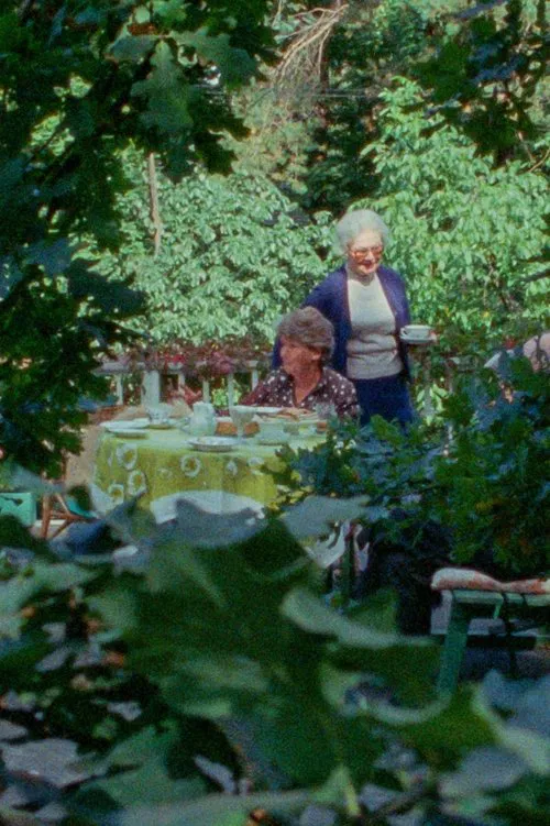 Poster do filme The Smile of the Garden