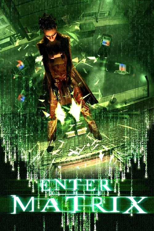 Making 'Enter the Matrix' movie poster