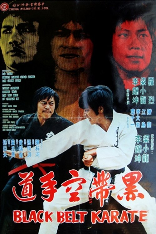 Black Belt Karate movie poster