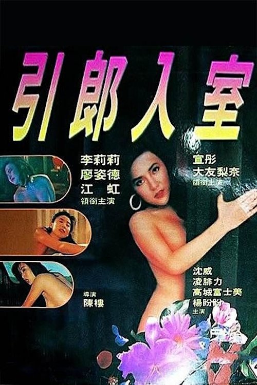 Erotic Passion movie poster