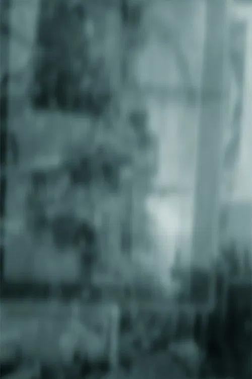 Disappeared movie poster