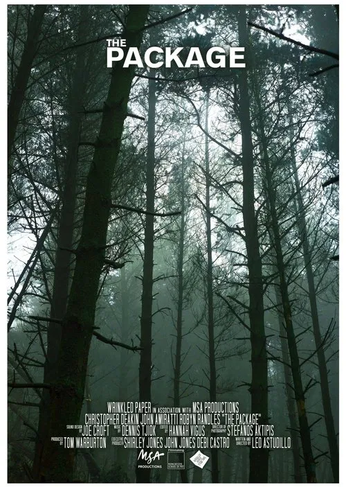 The Package movie poster