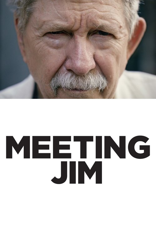 Meeting Jim movie poster