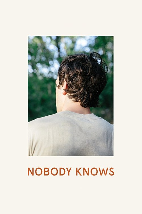 Nobody Knows movie poster