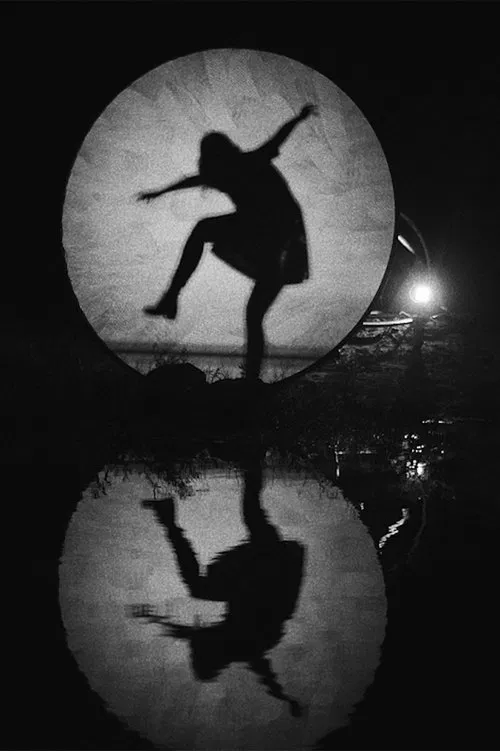 Shadow Nettes movie poster