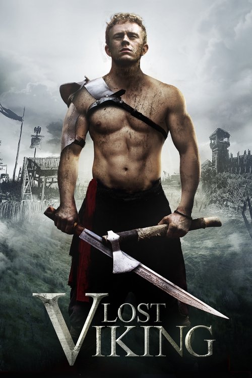 The Lost Viking movie poster