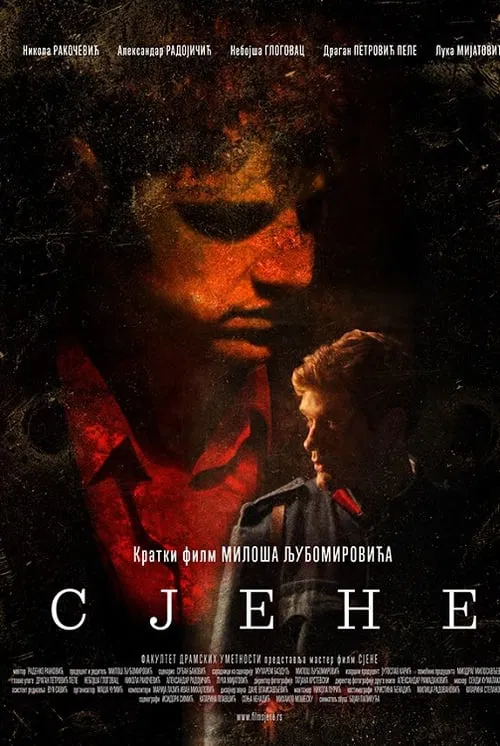 Shadows - The Last Days of Gavrilo Princip movie poster