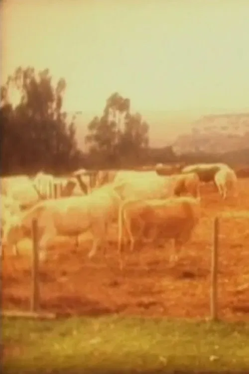 Cows movie poster