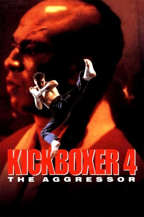 Kickboxer 4: The Aggressor movie poster