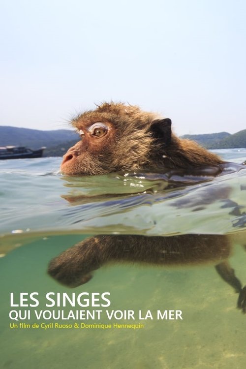 Les singes qui voulaient voir la mer movie poster