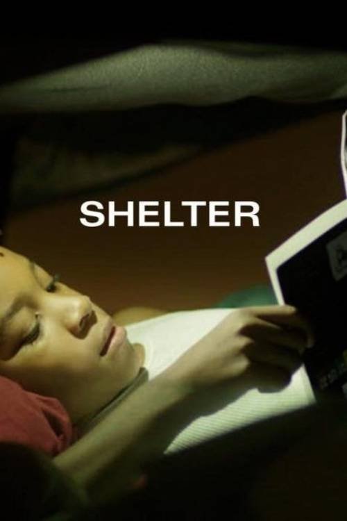 Shelter movie poster