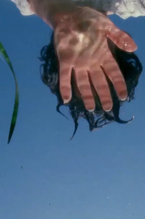 Laws of Nature movie poster