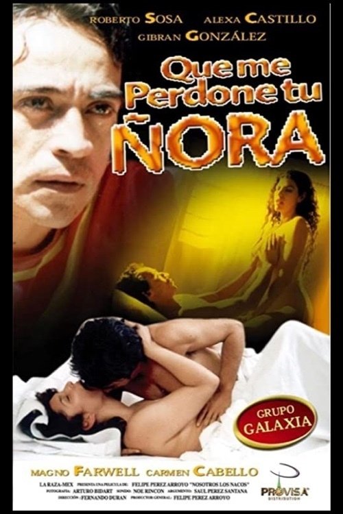 Que me perdone tu ñora movie poster