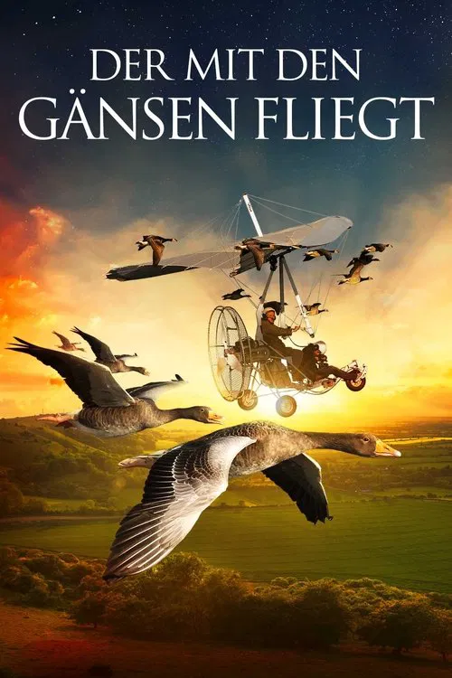 Poster do filme The Secret Routes of Migratory Birds