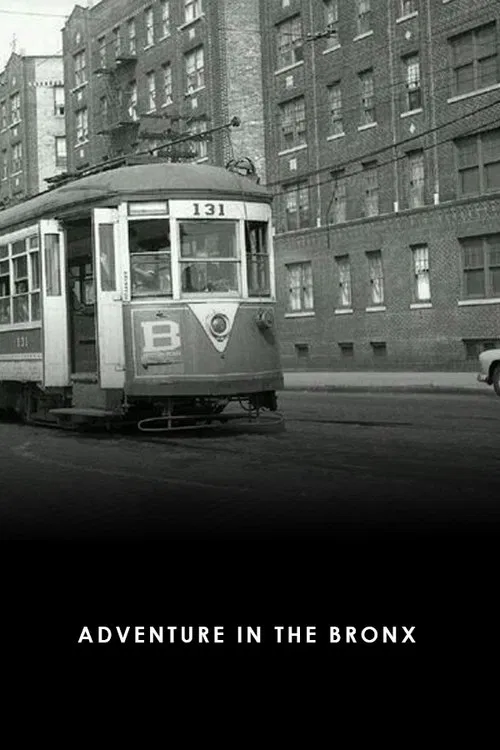 Adventure in the Bronx movie poster