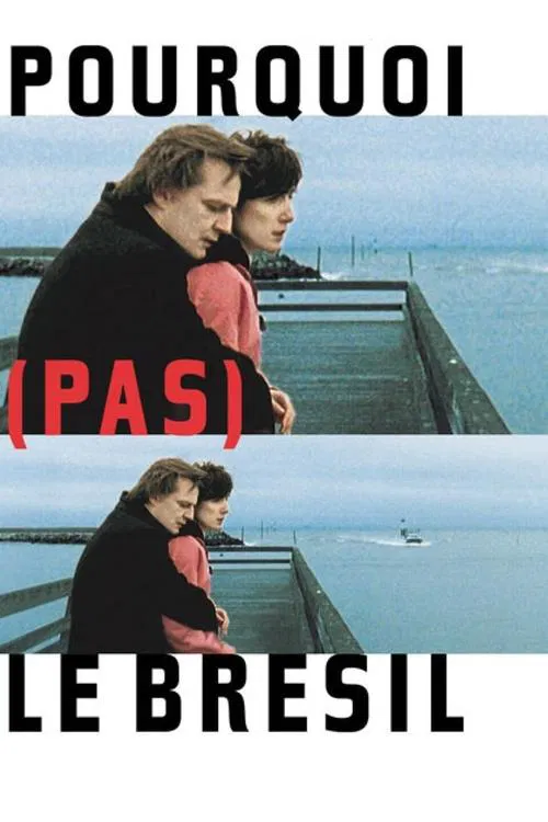 Why (Not) Brazil? movie poster