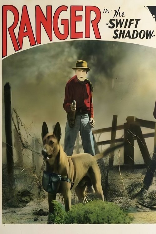 The Swift Shadow movie poster