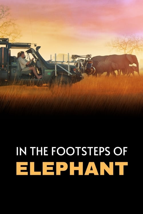 In the Footsteps of Elephant movie poster