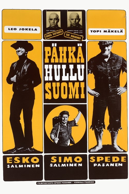 Pähkähullu Suomi movie poster