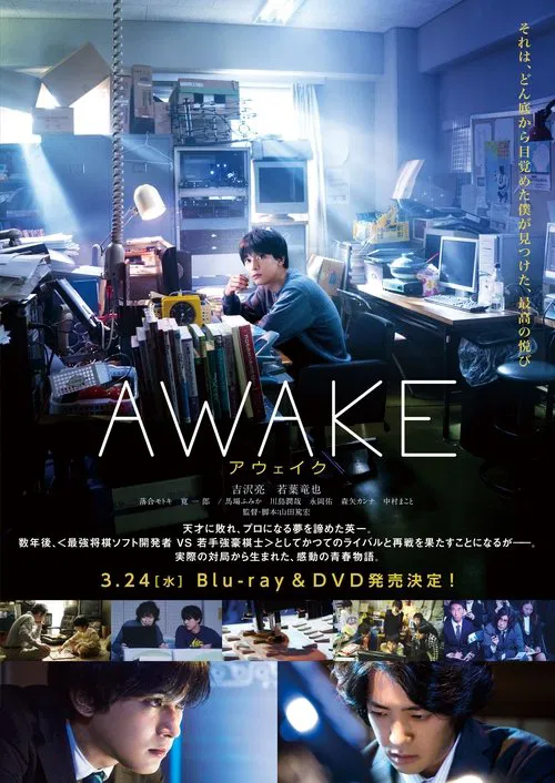 Poster do filme awake