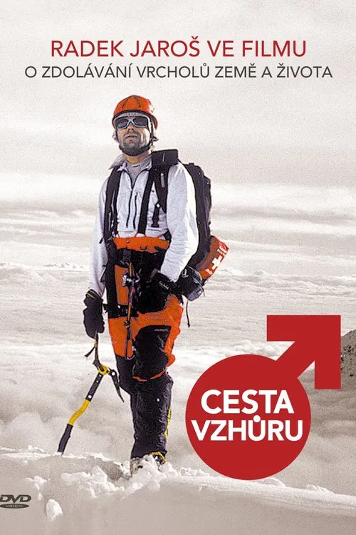 Cesta vzhůru movie poster
