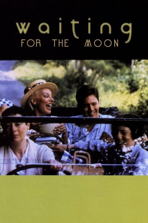 Waiting for the Moon movie poster