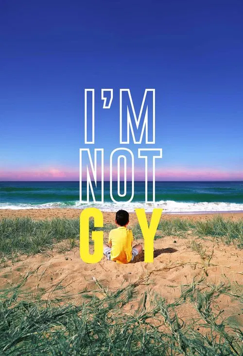 I'm Not Gay movie poster