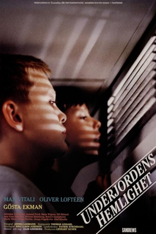 Subterranian Secrets movie poster