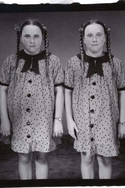 Twins movie poster