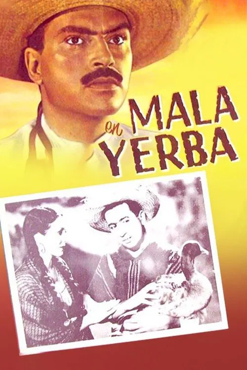 Mala yerba movie poster