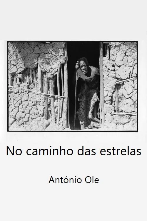 Poster do filme No caminho das estrelas