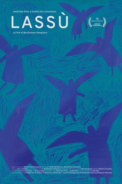 Poster do filme Up There