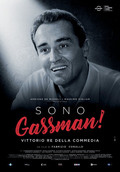 Sono Gassman! - Vittorio re della commedia movie poster
