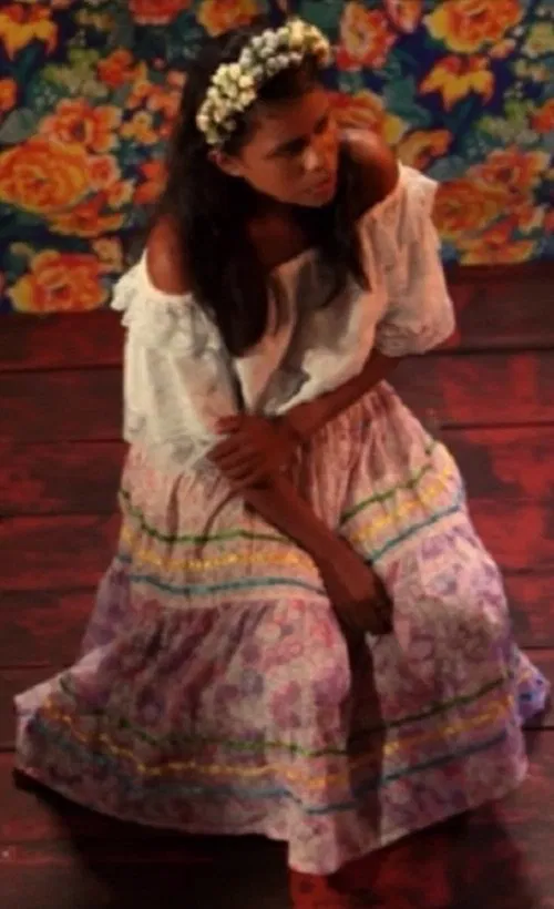 Walking Birds Flying Oxes movie poster