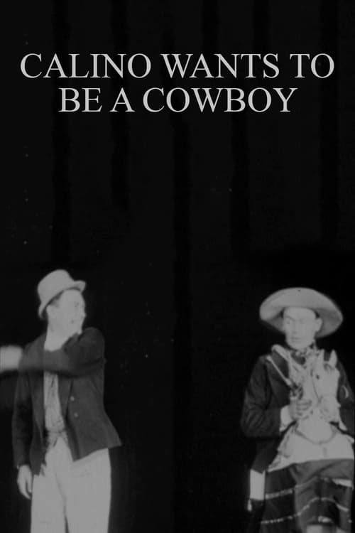 Calino Wants to Be a Cowboy movie poster