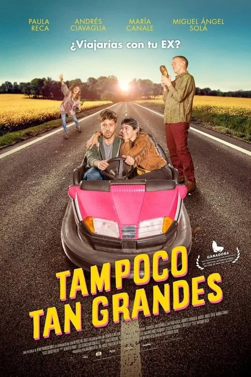 Not Quite Adults movie poster