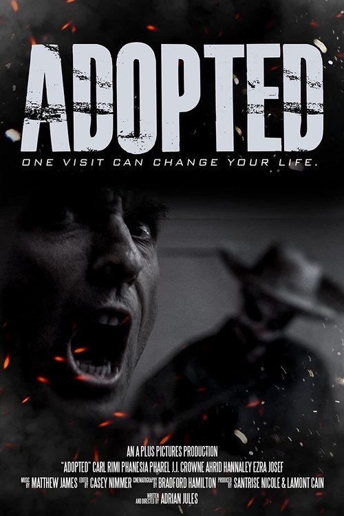 Adopted movie poster