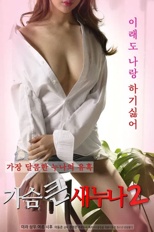 Poster do filme Big Breasts Sister 2