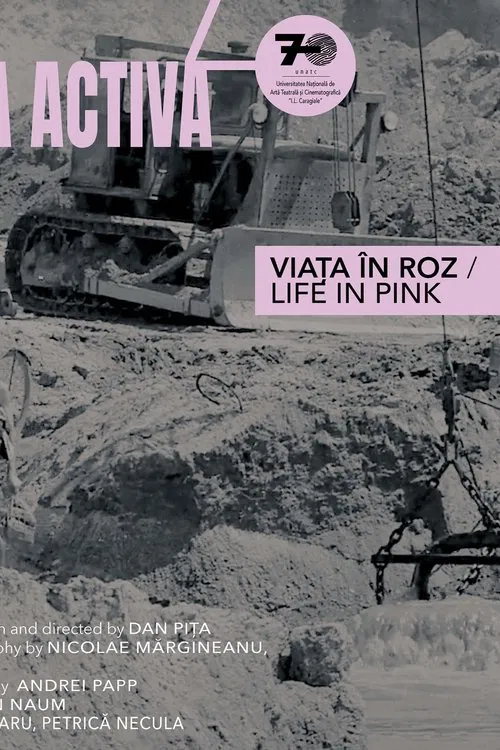 Life in Pink movie poster