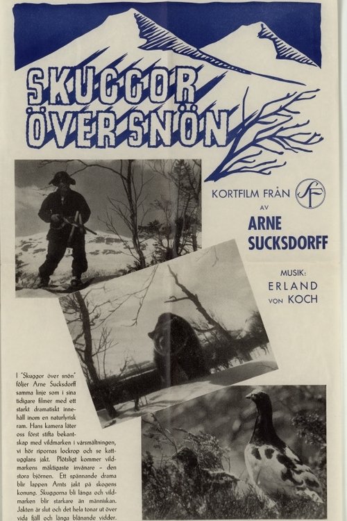 Shadows on the Snow movie poster