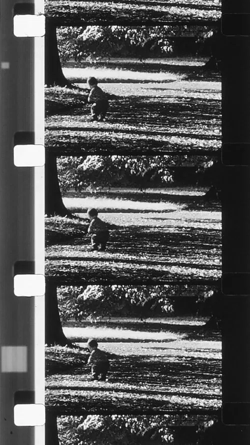 Envío 3 movie poster