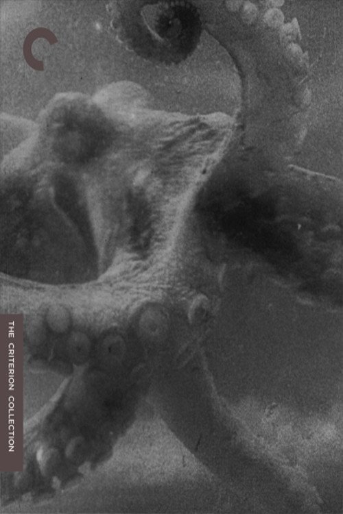 The Octopus movie poster