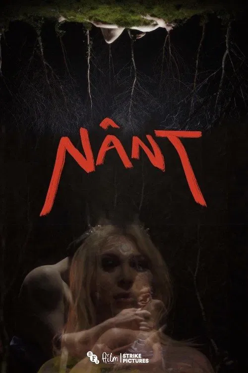 Nânt movie poster