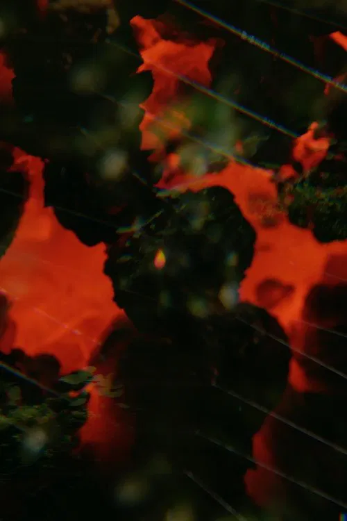 The Visitation movie poster