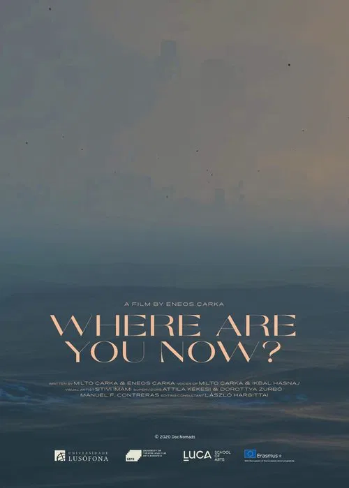 Where Are You Now? movie poster