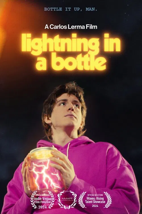 Poster do filme Lightning in a Bottle