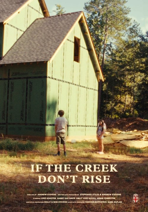 If the Creek Don't Rise movie poster
