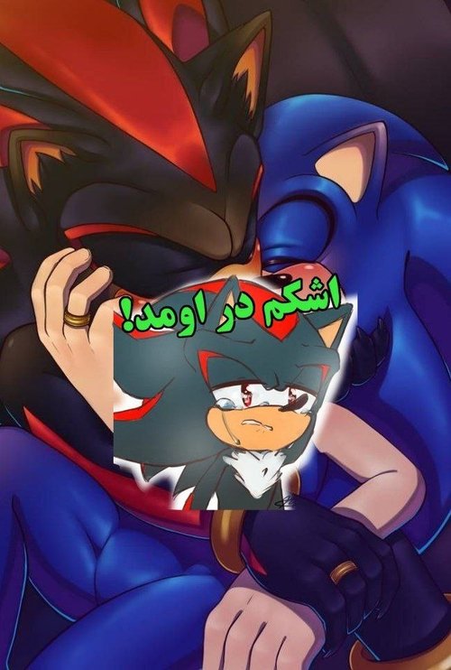 Sonic & Shadow Lovely Lavat movie poster