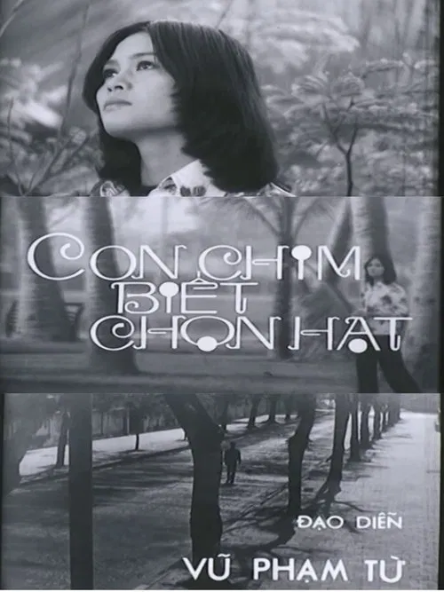 Con Chim Biết Chọn Hạt movie poster