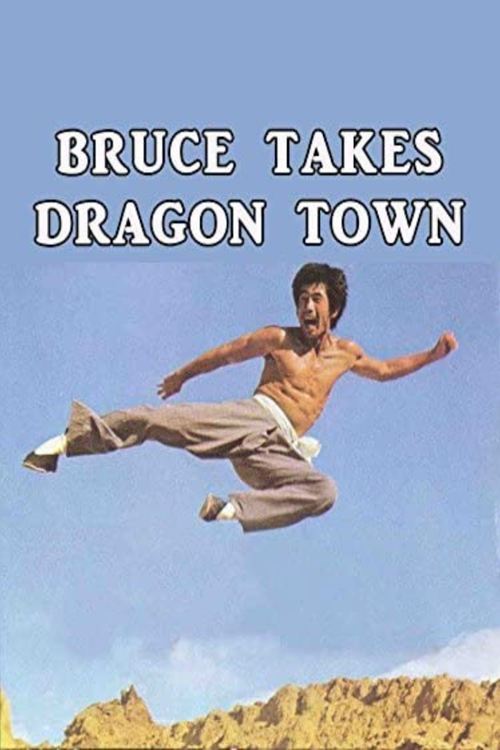 Bruce Takes Dragon Town movie poster
